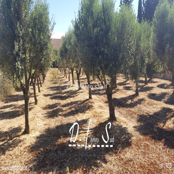 Offres de vente Maison Narbonne 11100