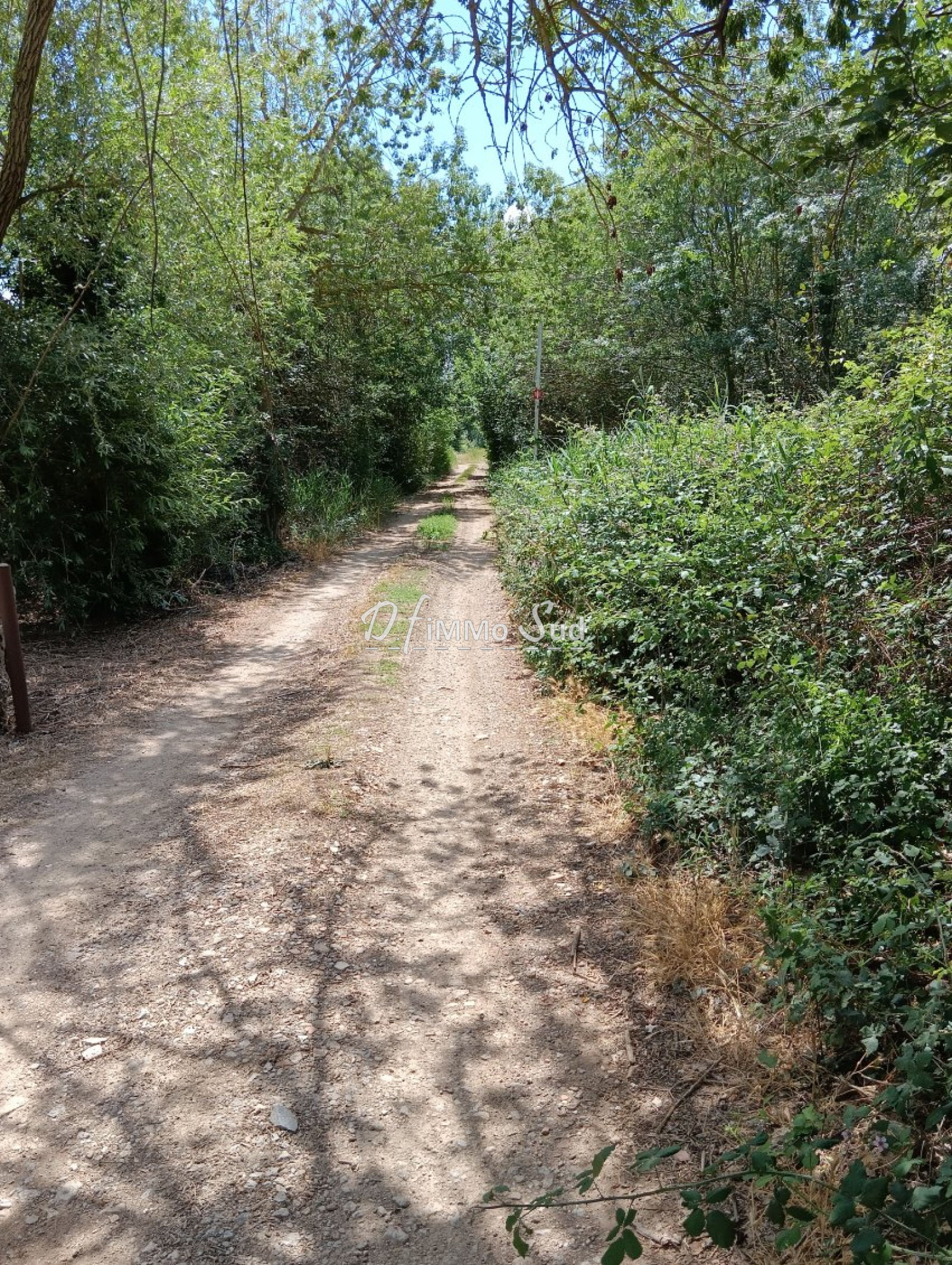 Image_, Terrain de loisir, Narbonne, ref :1887