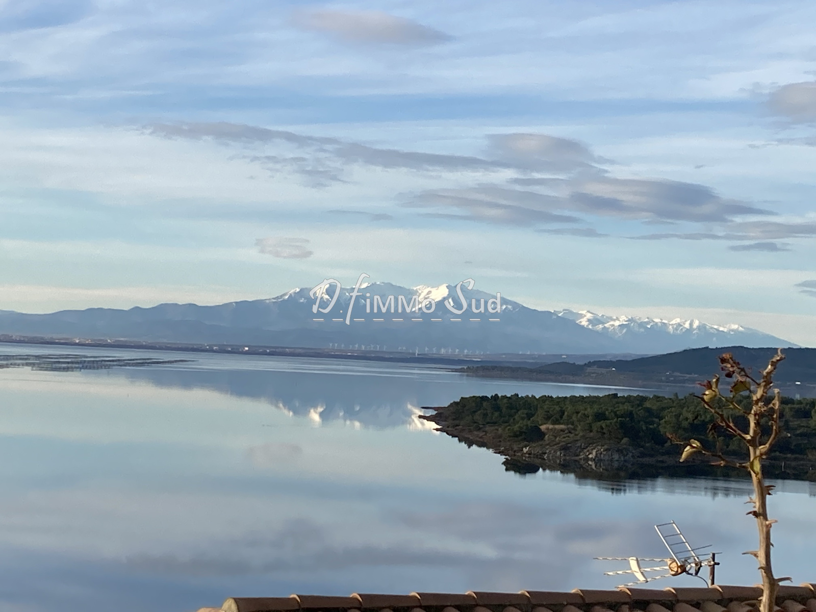 Image_, Maison, Leucate, ref :1812