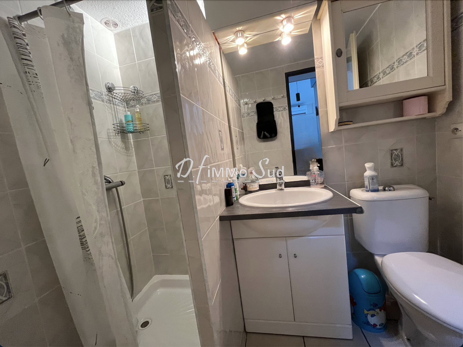 Image_, Maison, Saint-Pierre-la-mer, ref :1794