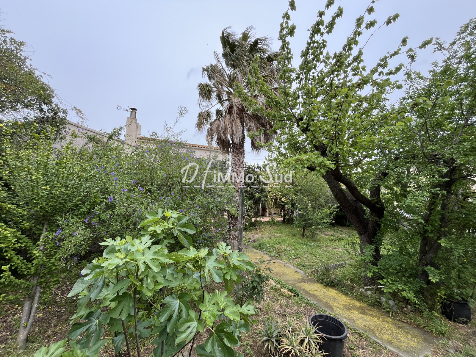 Image_, Maison, Narbonne, ref :1916