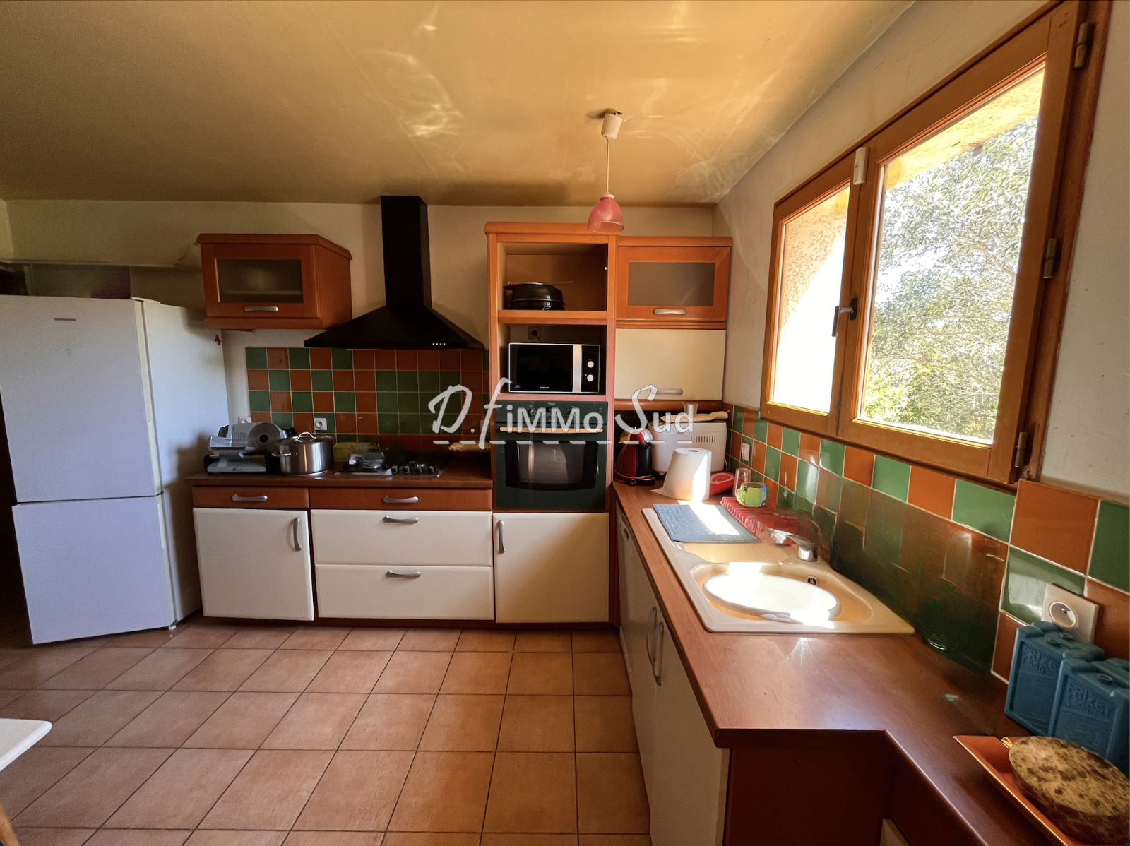 Image_, Maison, Villedaigne, ref :1681