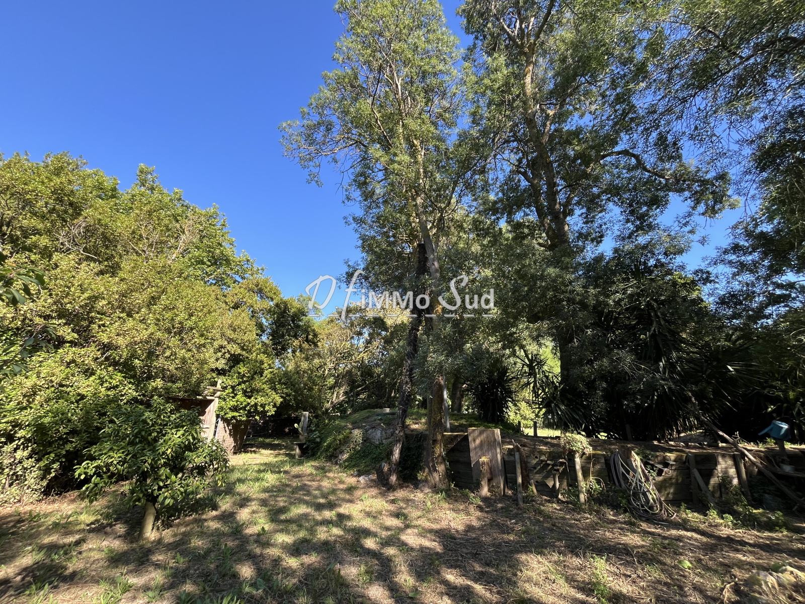 Image_, Appartement, Narbonne, ref :1881