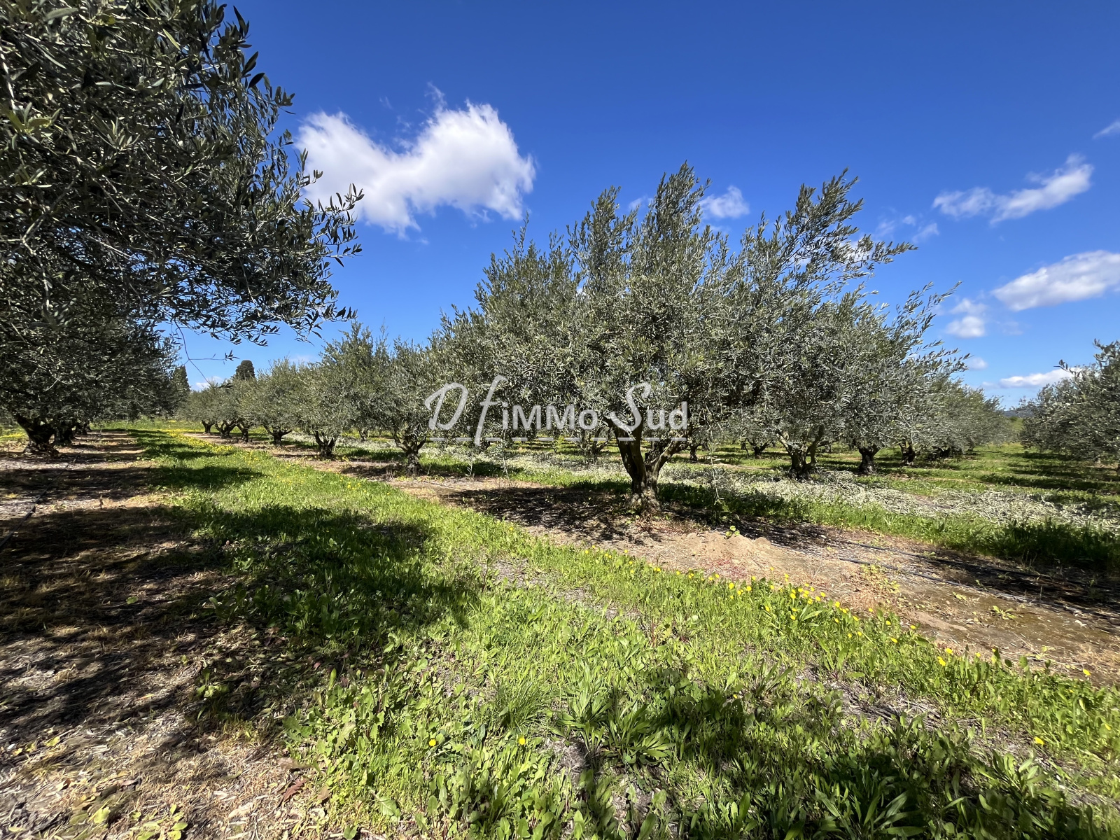 Image_, Maison, Ginestas, ref :1829