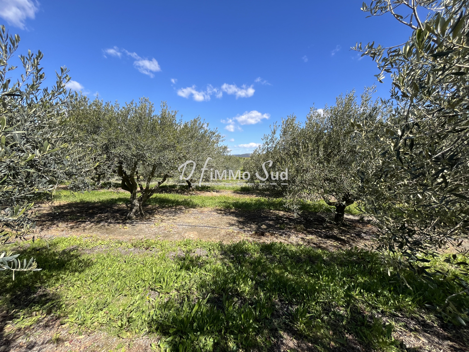Image_, Maison, Ginestas, ref :1829