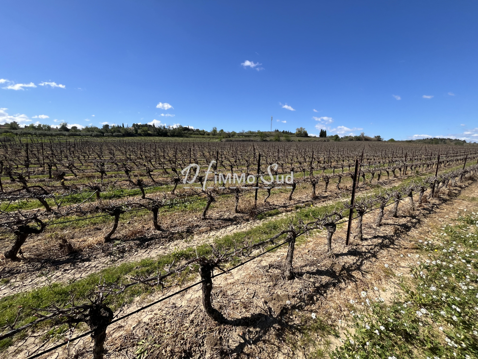Image_, Maison, Ginestas, ref :1829