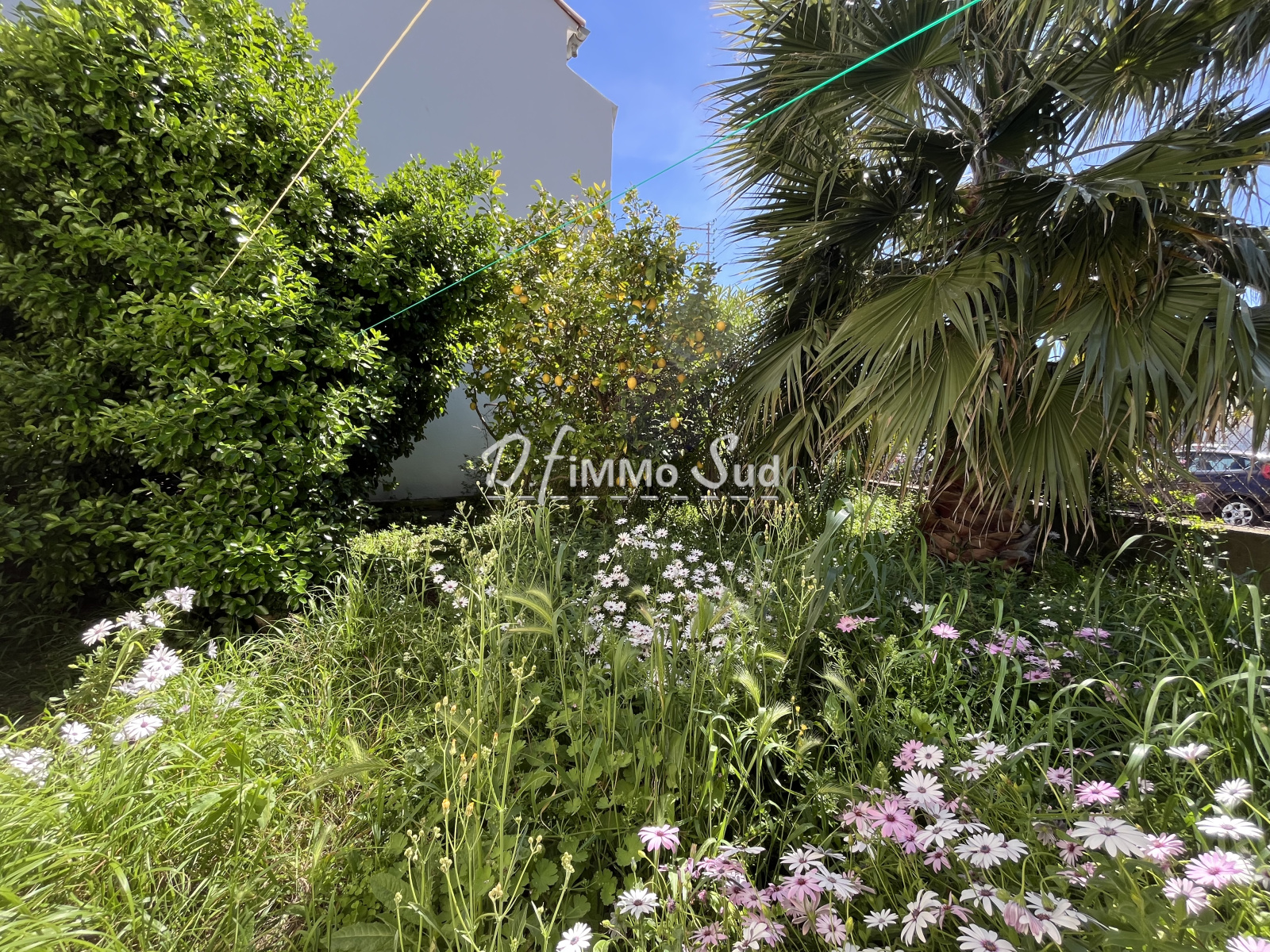 Image_, Maison, Narbonne, ref :1845