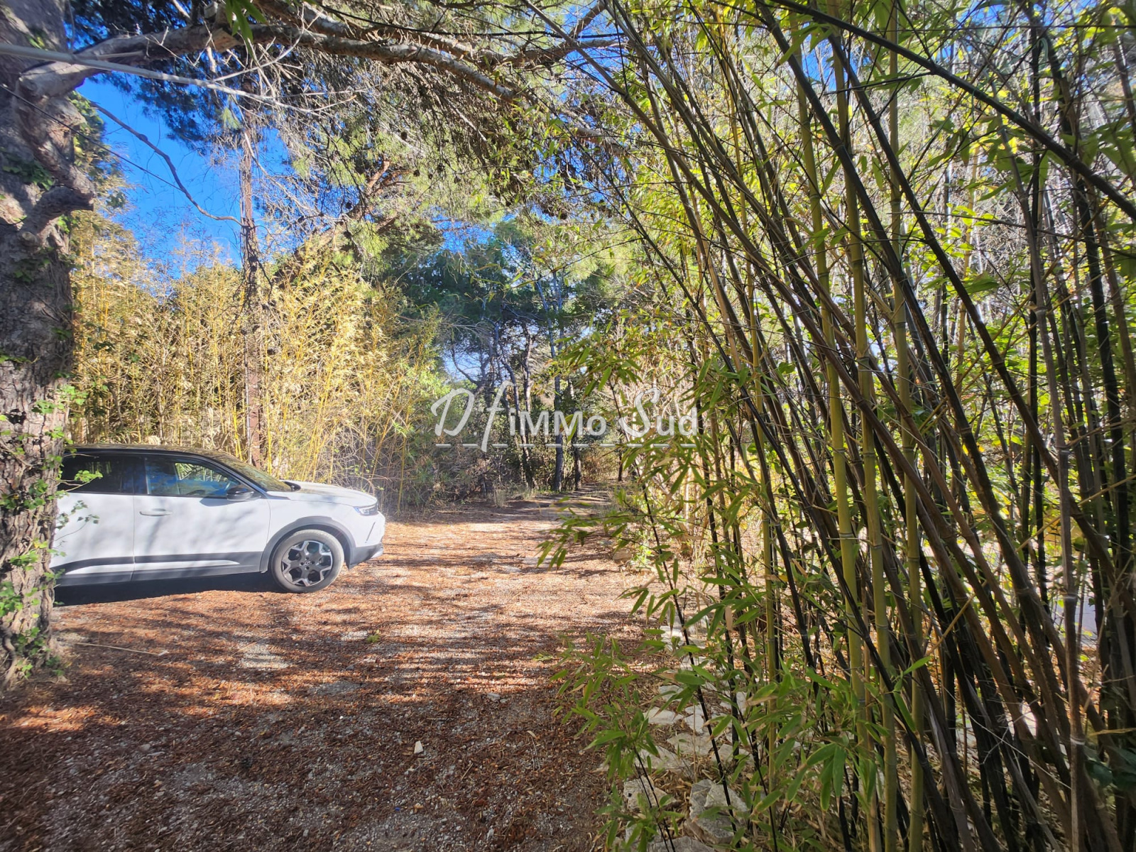 Image_, Maison, Narbonne, ref :1775